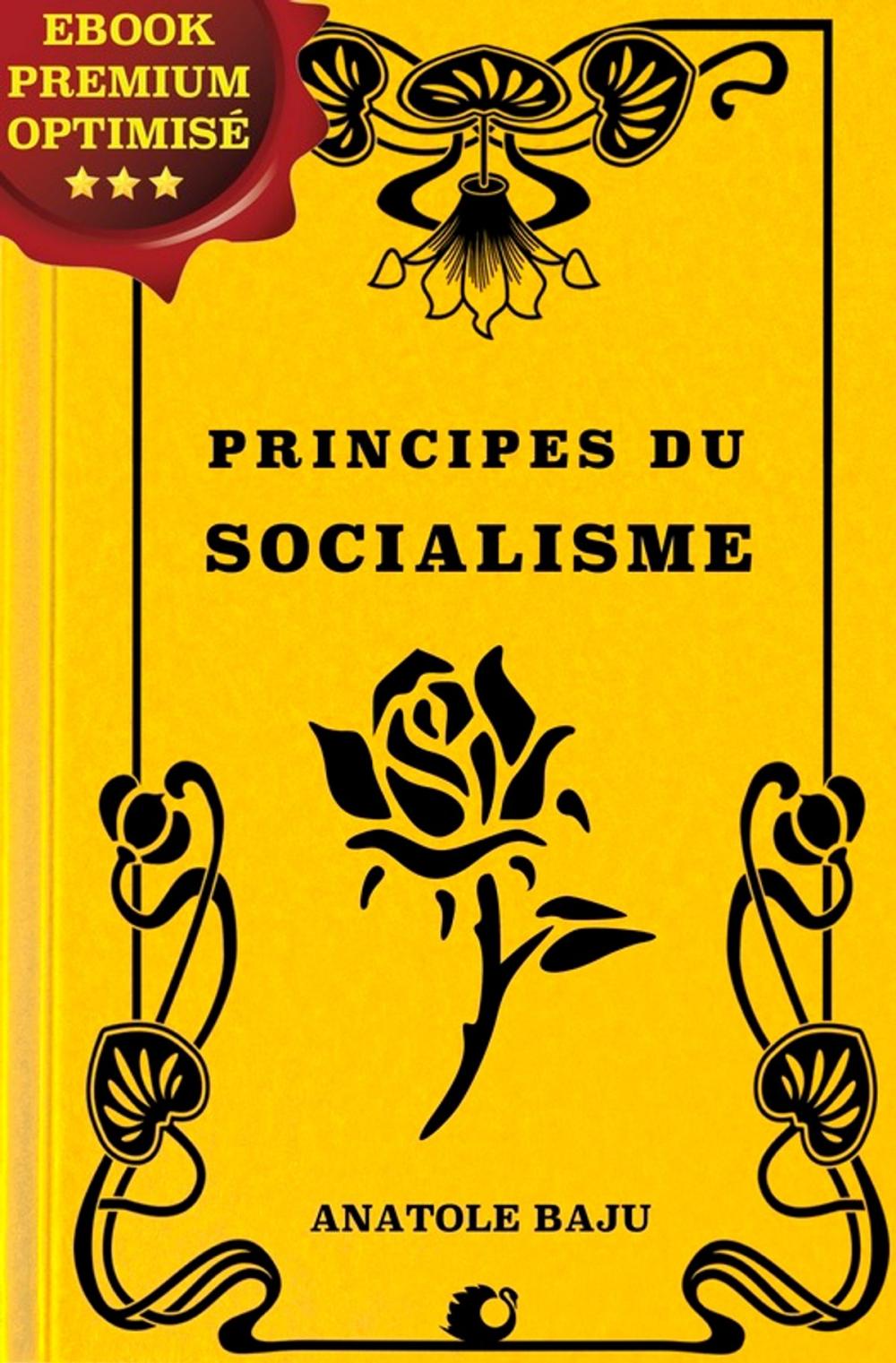 Big bigCover of Principes du socialisme