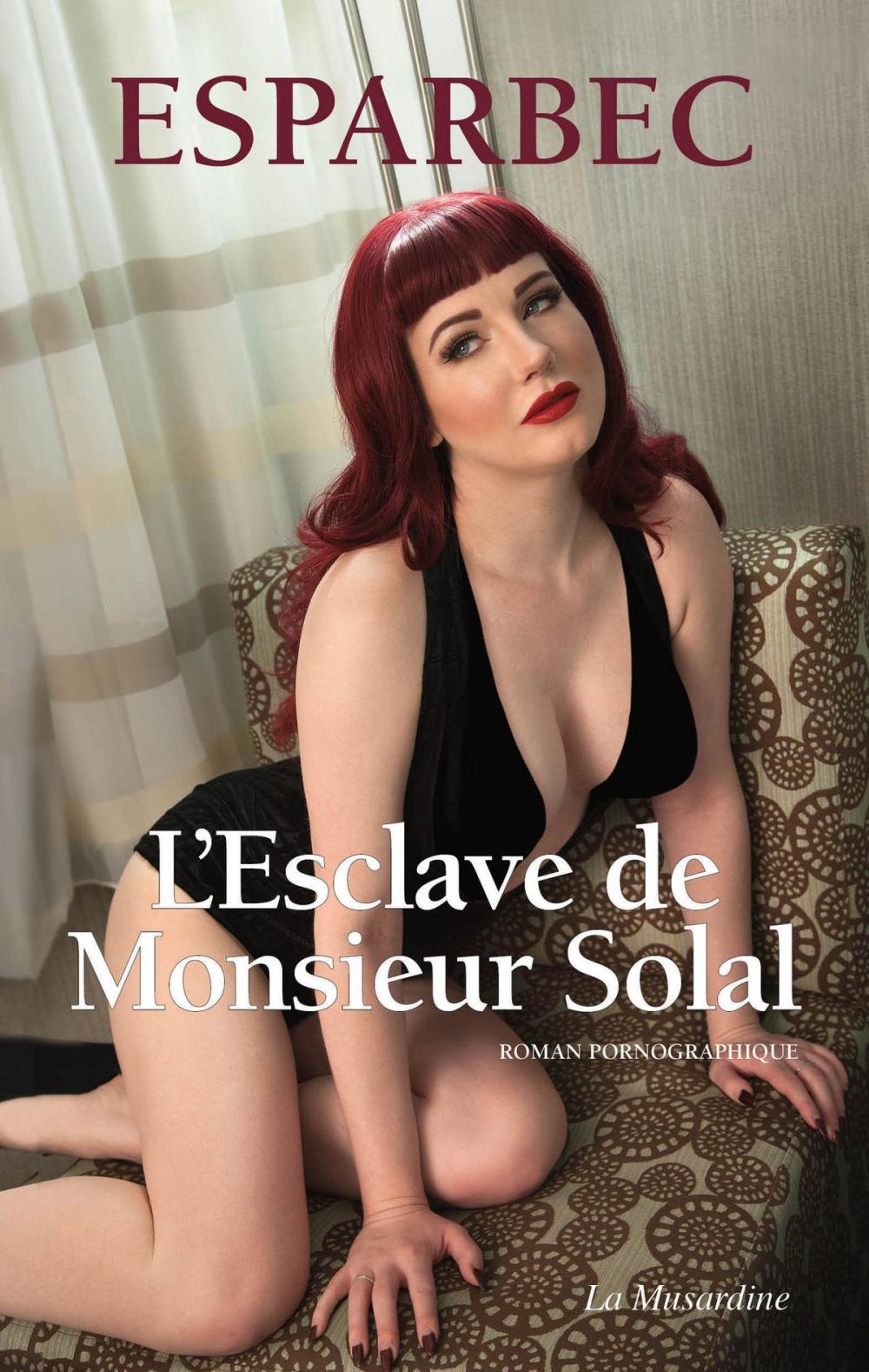 Big bigCover of L'esclave de Monsieur Solal