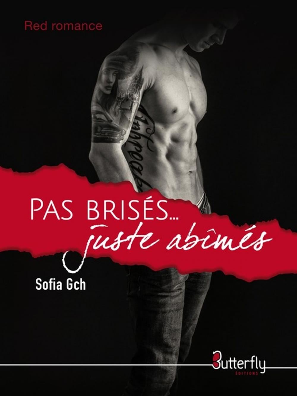 Big bigCover of Pas brisés juste abîmés