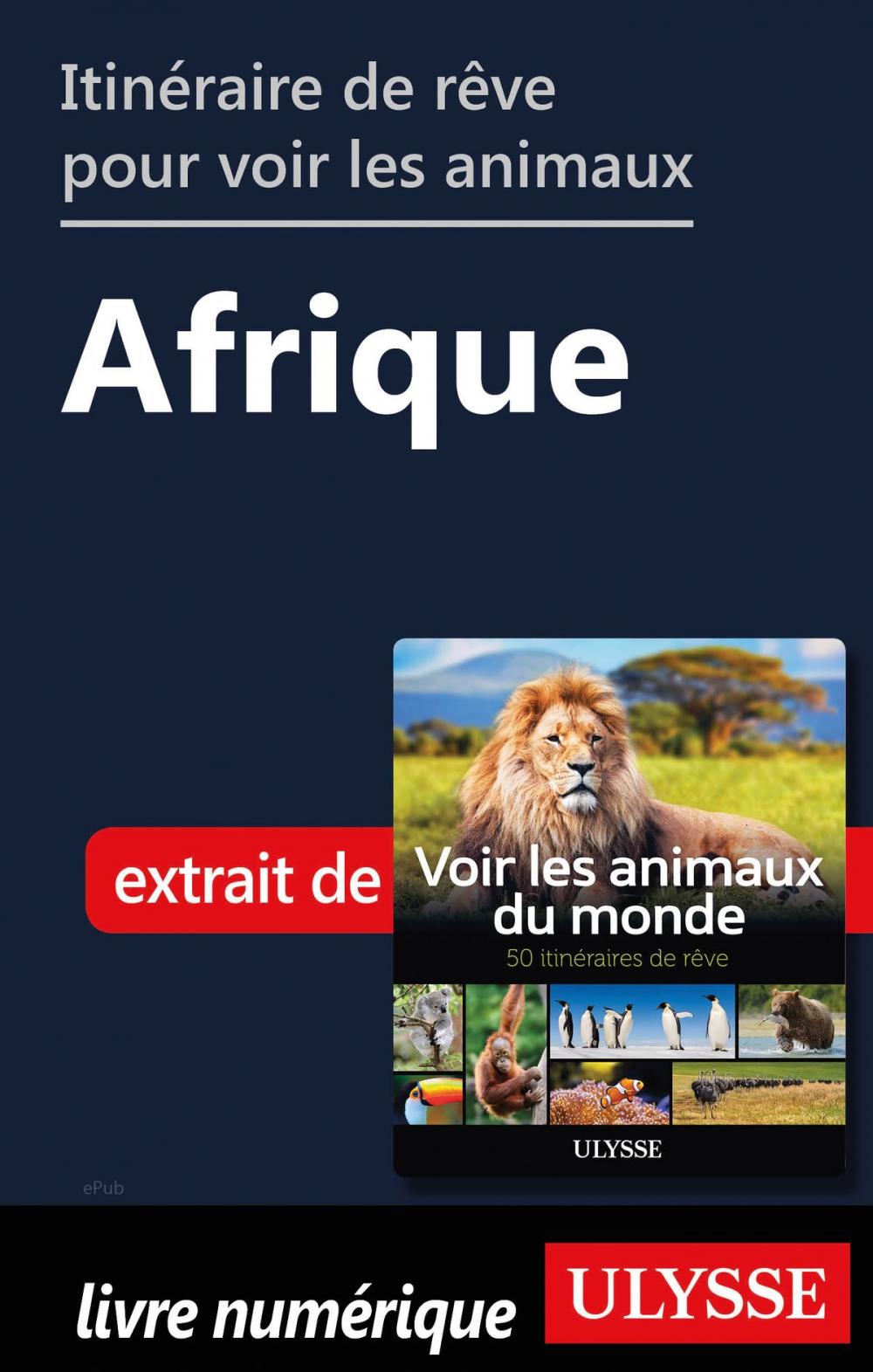 Big bigCover of Itinéraires de rêve pour voir les animaux - Afrique