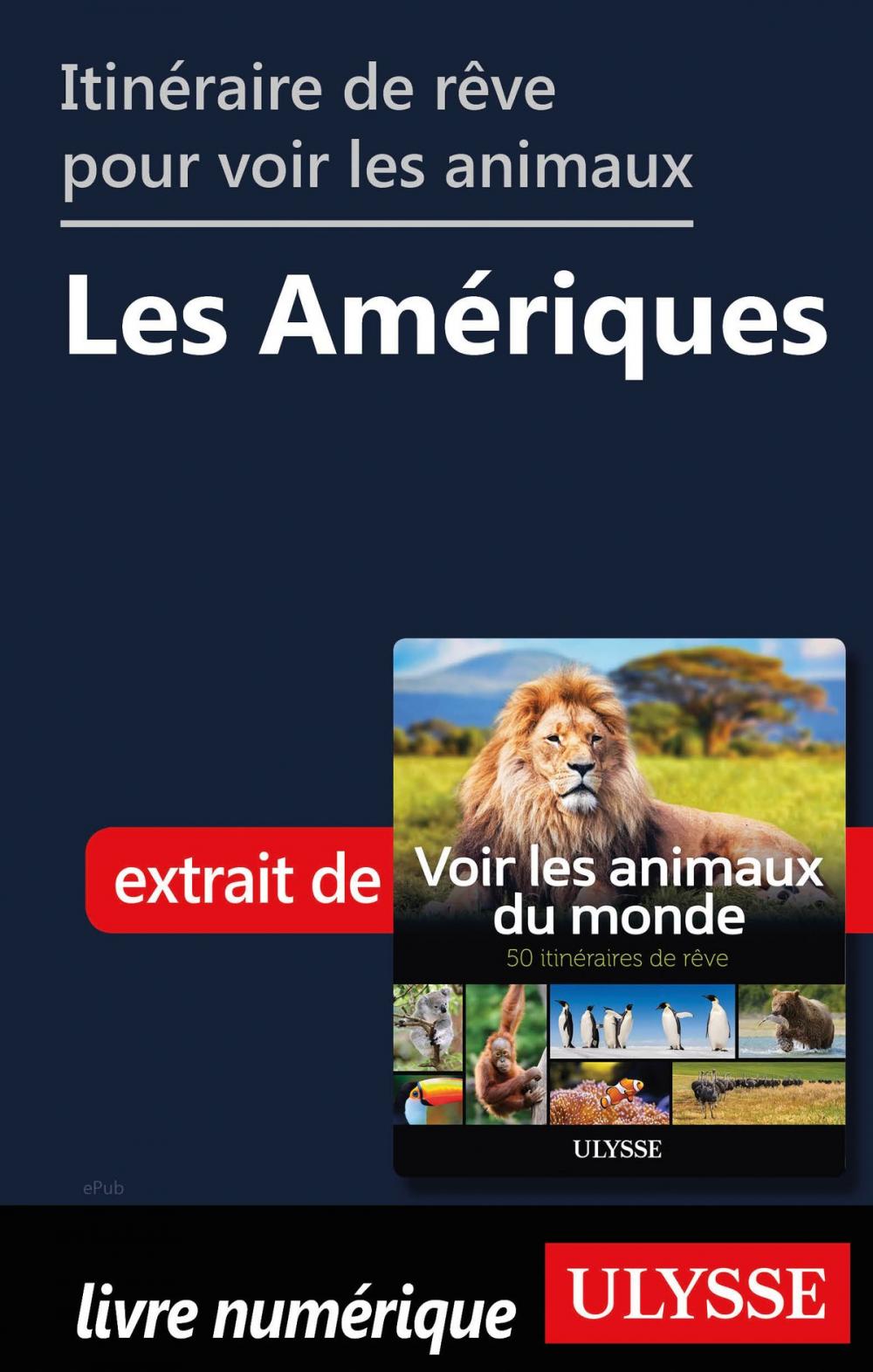 Big bigCover of Itinéraires de rêve pour voir les animaux - Les Amériques