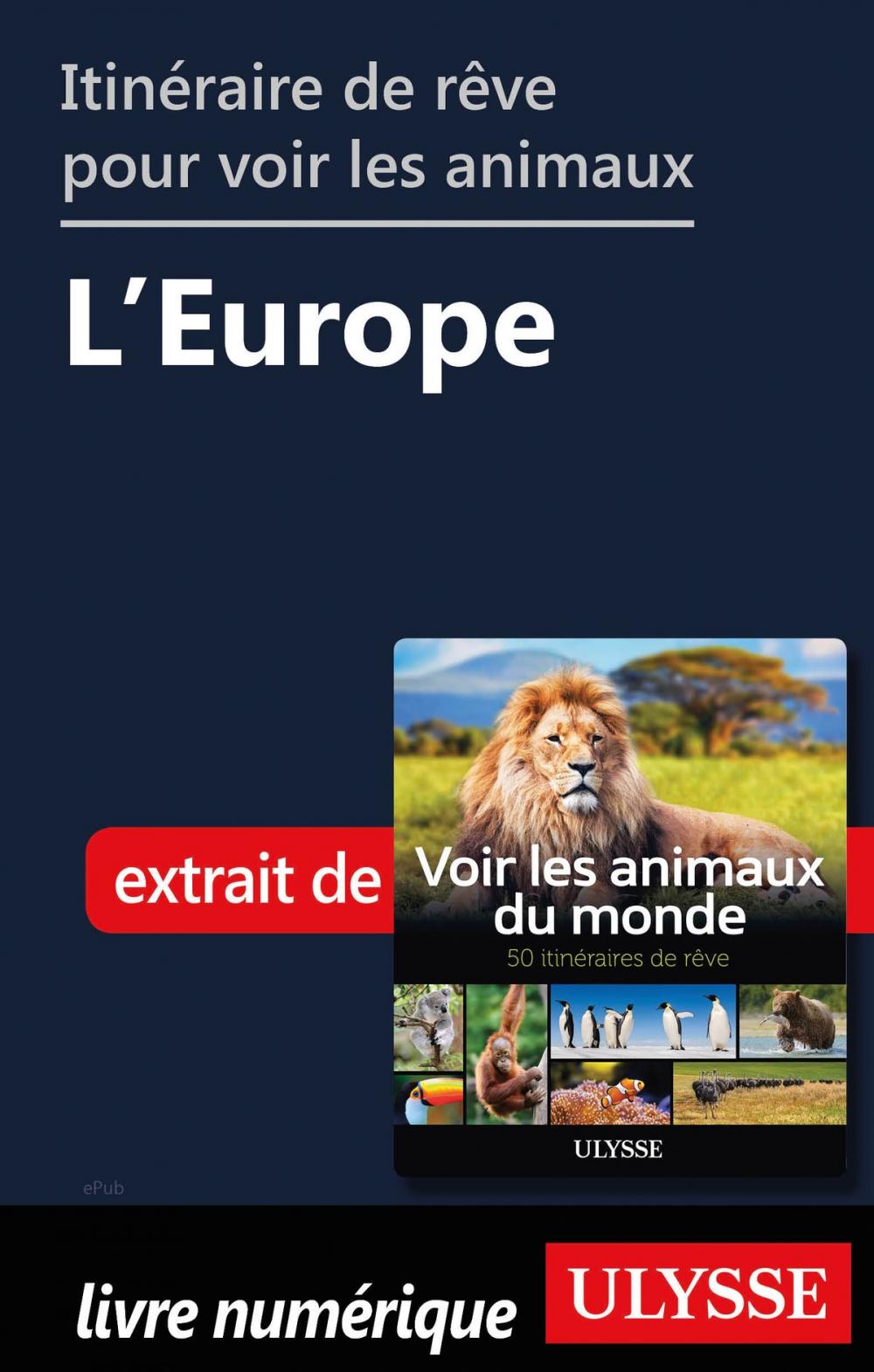 Big bigCover of Itinéraires de rêve pour voir les animaux - L'Europe