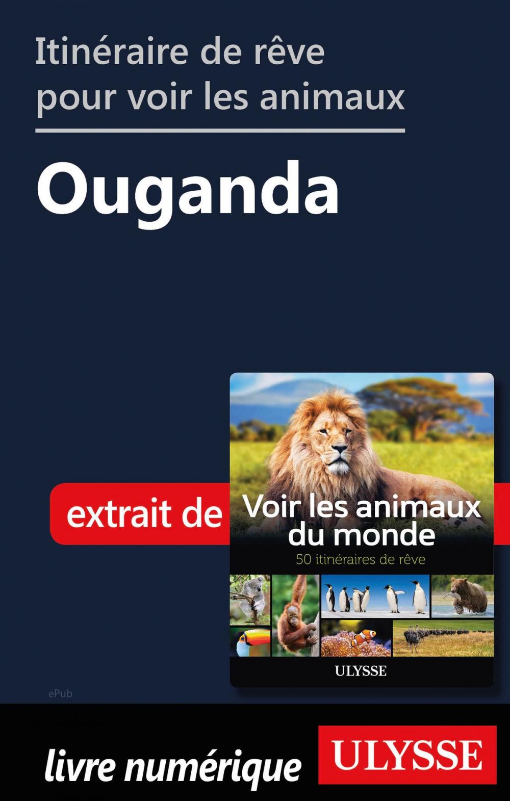 Big bigCover of Itinéraire de rêve pour voir les animaux - Ouganda