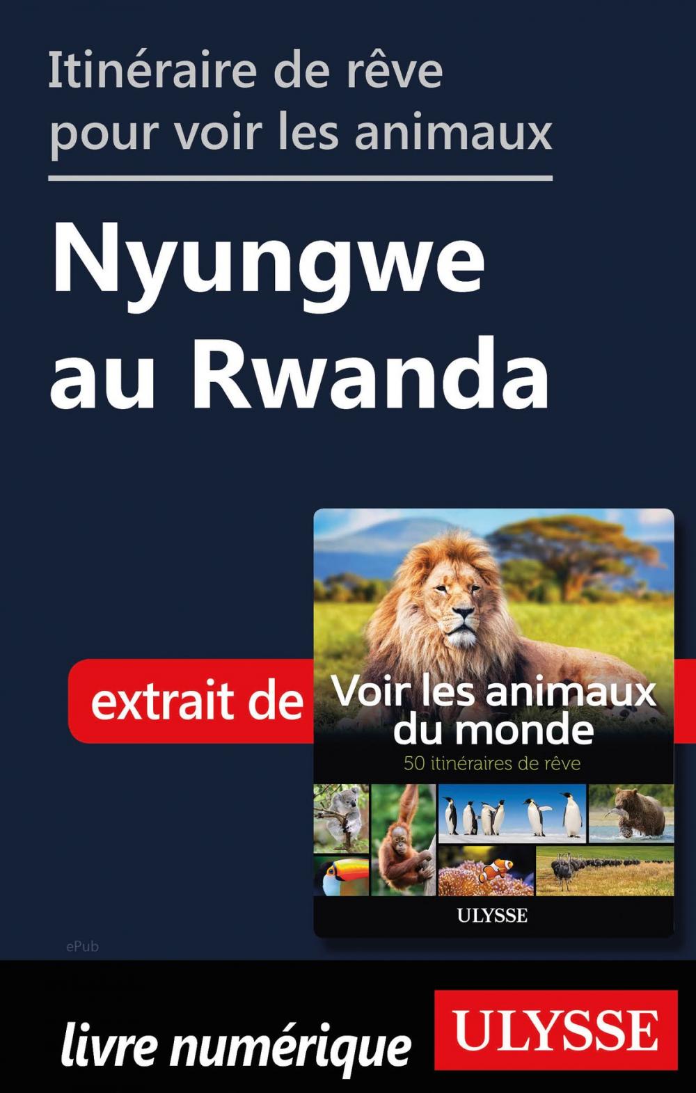 Big bigCover of Itinéraire de rêve pour voir les animaux Nyungwe au Rwanda