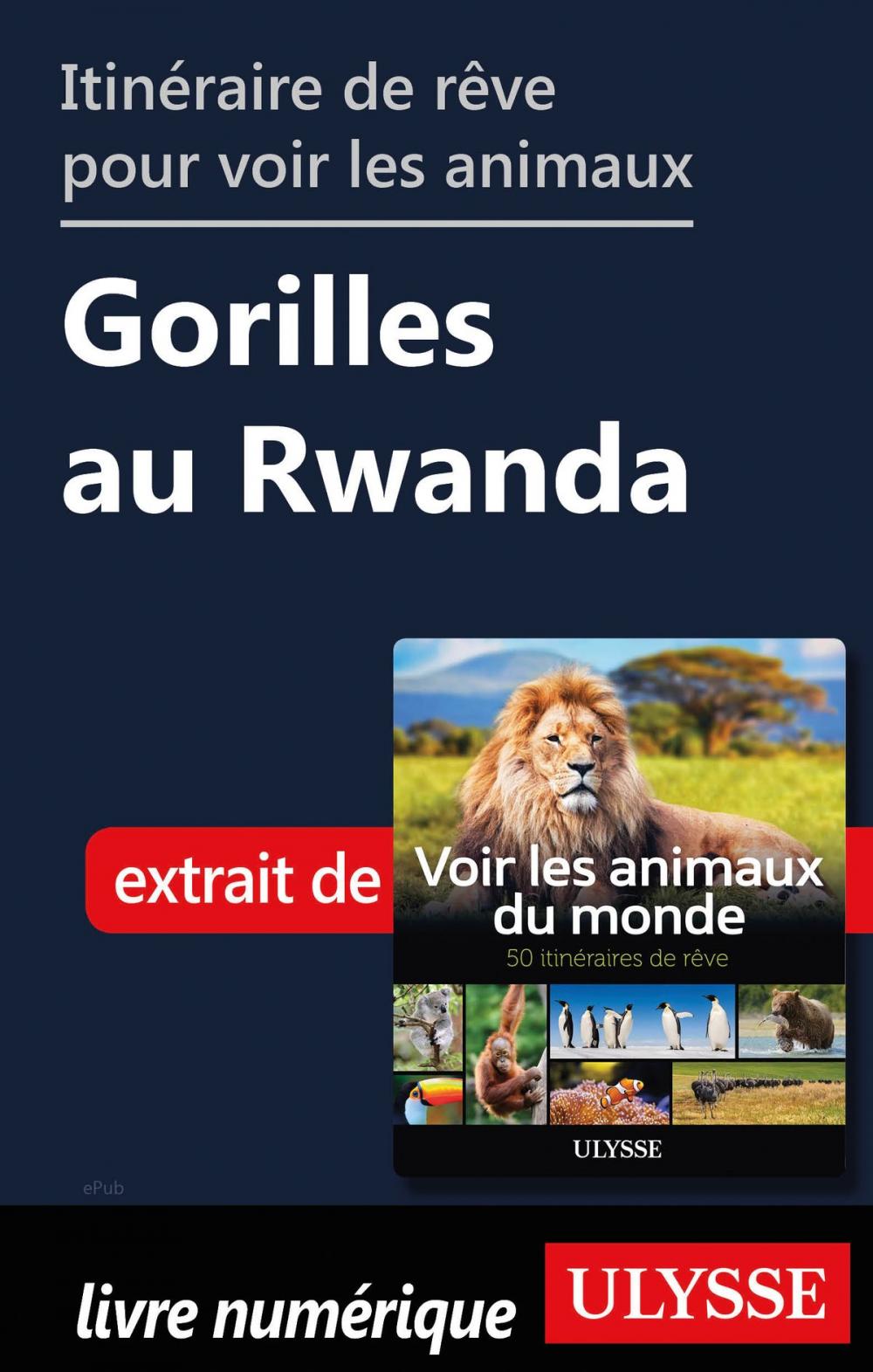 Big bigCover of Itinéraire de rêve pour voir les animaux Gorilles au Rwanda