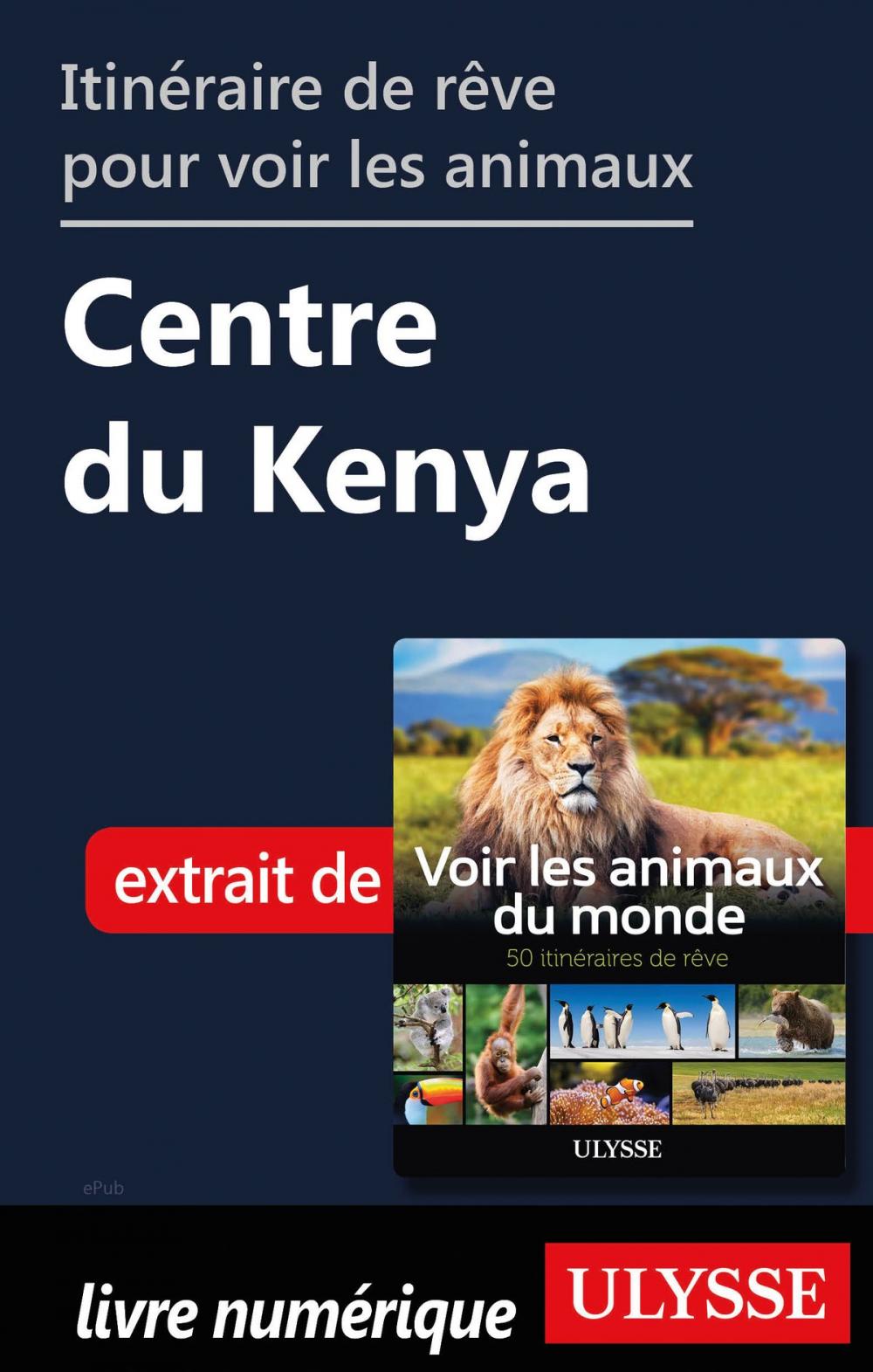 Big bigCover of Itinéraire de rêve pour voir les animaux - Centre du Kenya
