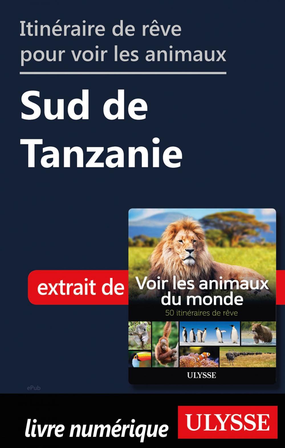 Big bigCover of Itinéraire de rêve pour voir les animaux - Sud de Tanzanie