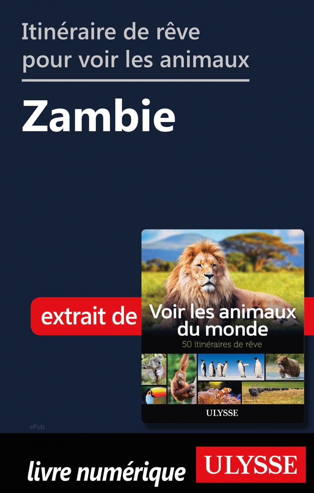 Big bigCover of Itinéraire de rêve pour voir les animaux - Zambie