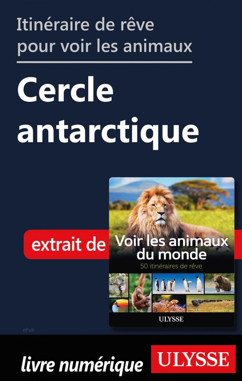 Big bigCover of Itinéraire de rêve pour voir les animaux Cercle antarctique