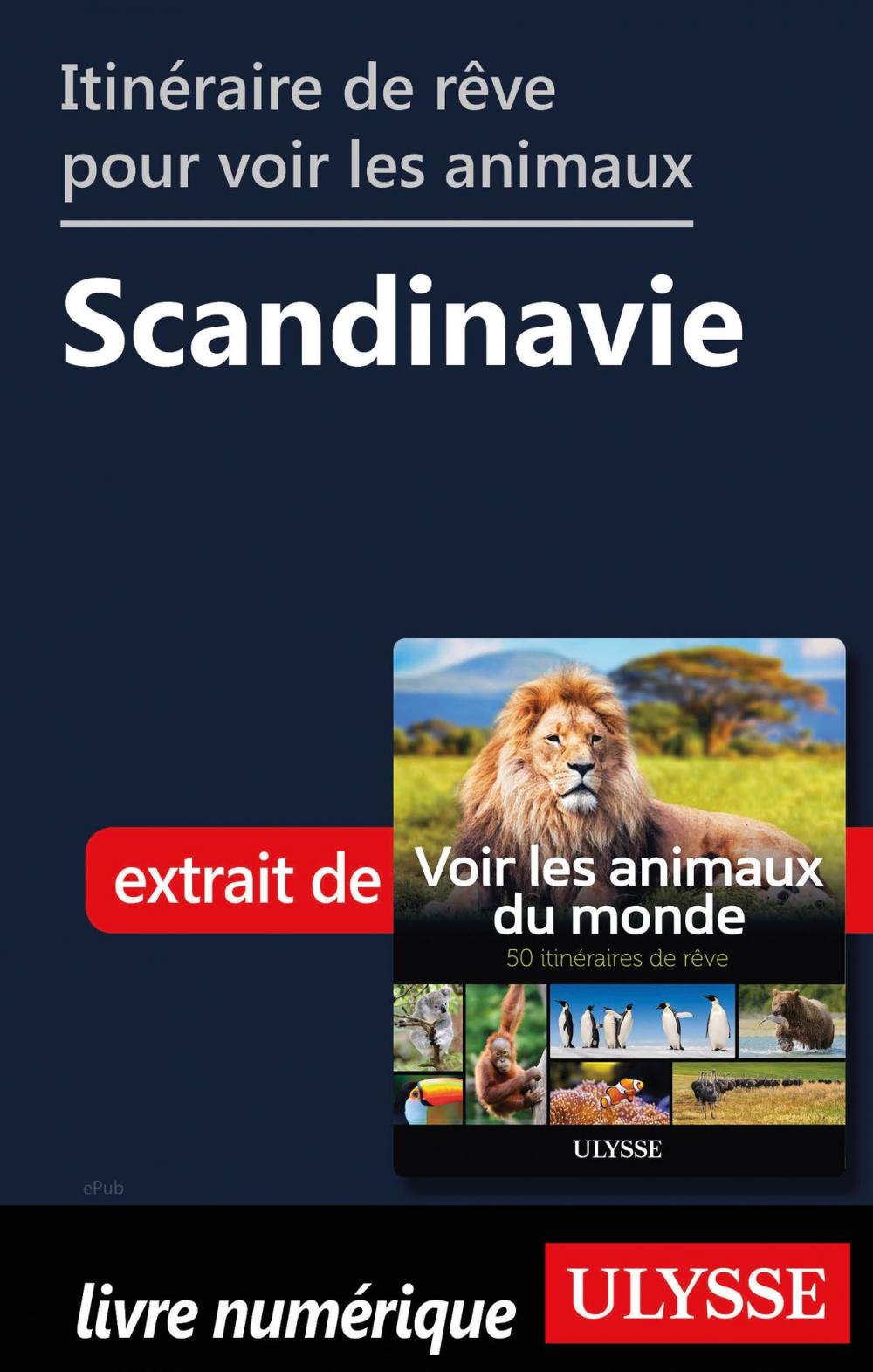 Big bigCover of Itinéraire de rêve pour voir les animaux - Scandinavie