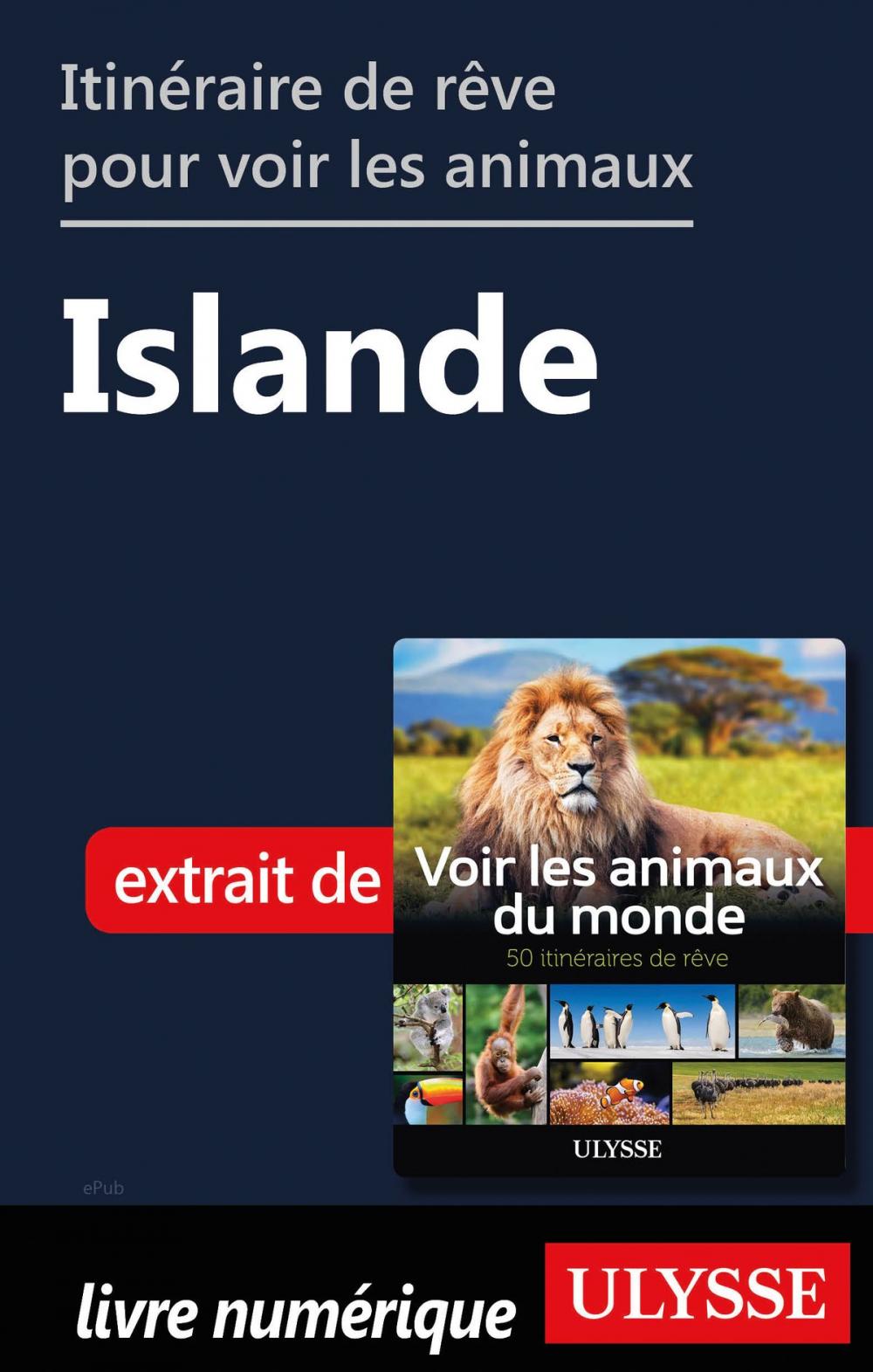 Big bigCover of Itinéraire de rêve pour voir les animaux - Islande