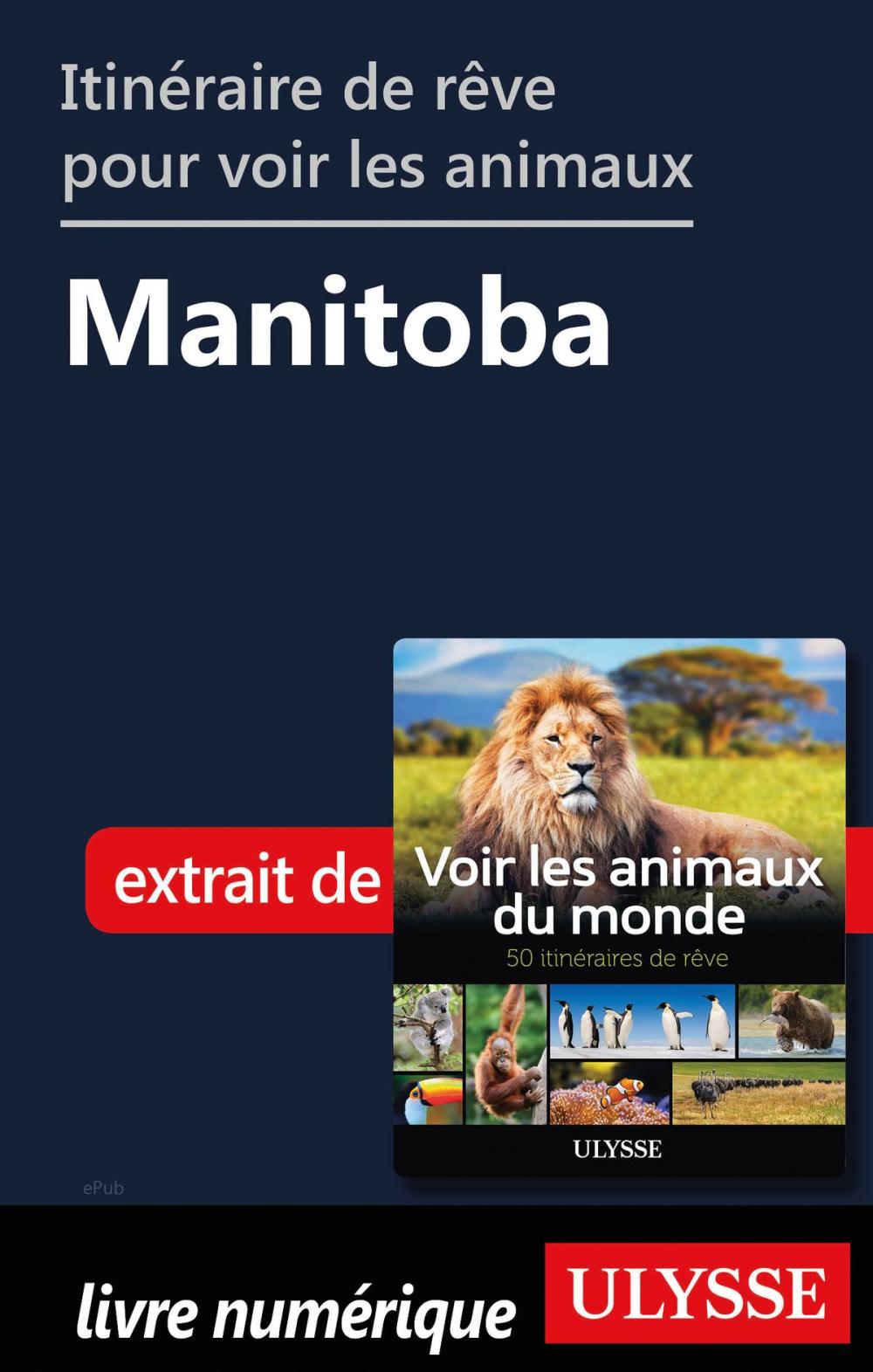 Big bigCover of Itinéraire de rêve pour voir les animaux - Manitoba