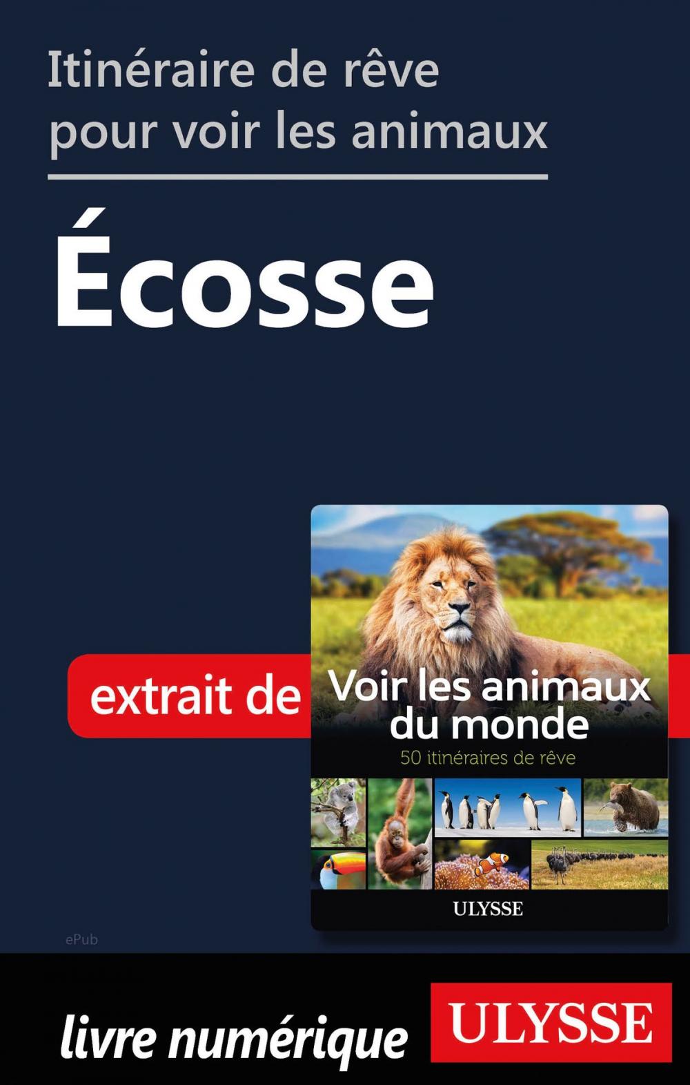 Big bigCover of Itinéraire de rêve pour voir les animaux - Écosse