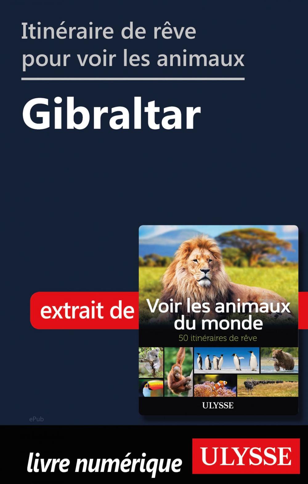 Big bigCover of Itinéraire de rêve pour voir les animaux - Gibraltar