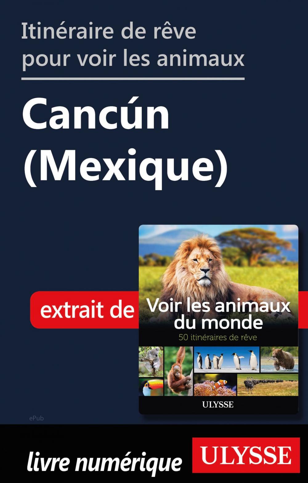 Big bigCover of Itinéraire de rêve pour voir les animaux - Cancún (Mexique)