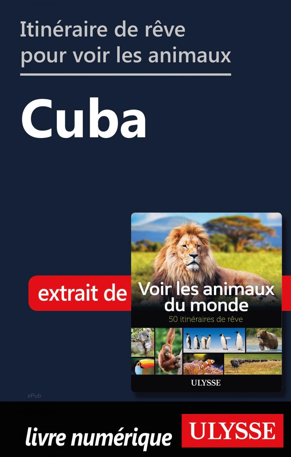 Big bigCover of Itinéraire de rêve pour voir les animaux - Cuba