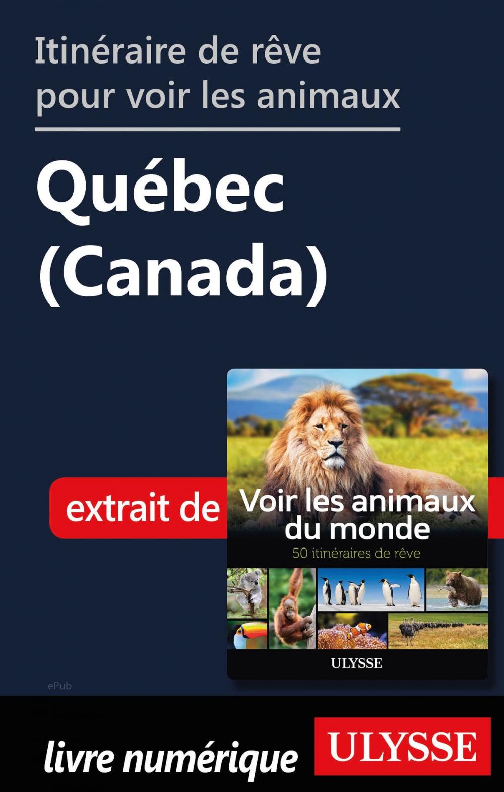 Big bigCover of Itinéraire de rêve pour voir les animaux - Québec (Canada)