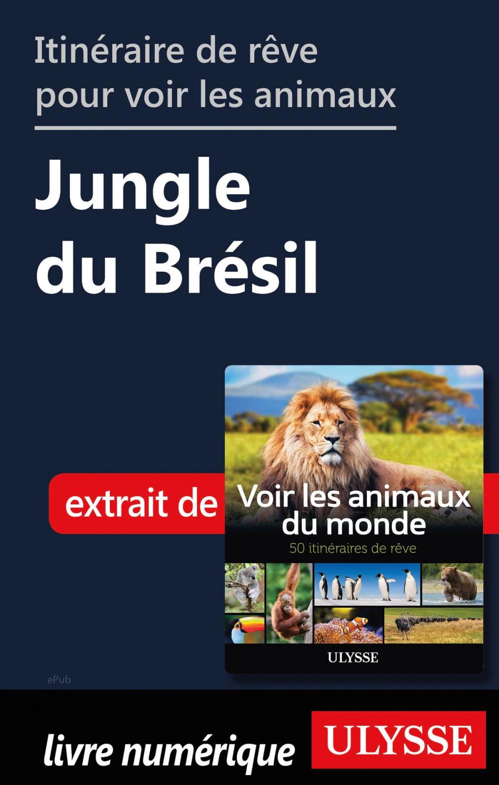 Big bigCover of Itinéraire de rêve pour voir les animaux - Jungle du Brésil