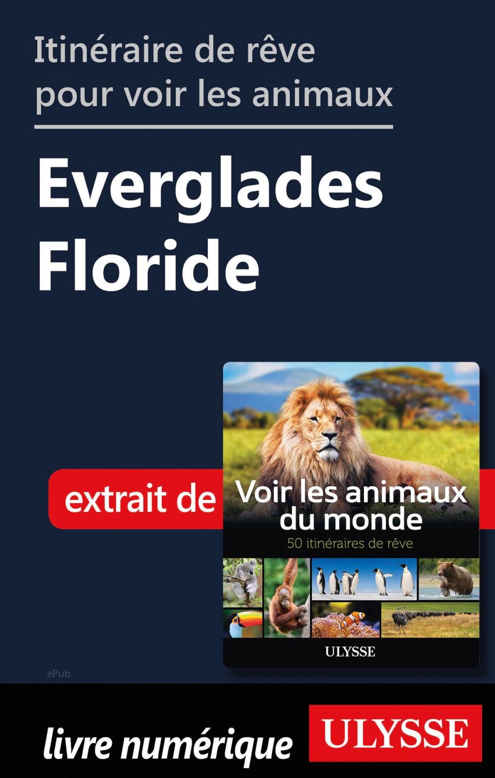 Big bigCover of Itinéraire de rêve pour voir les animaux Everglades Floride