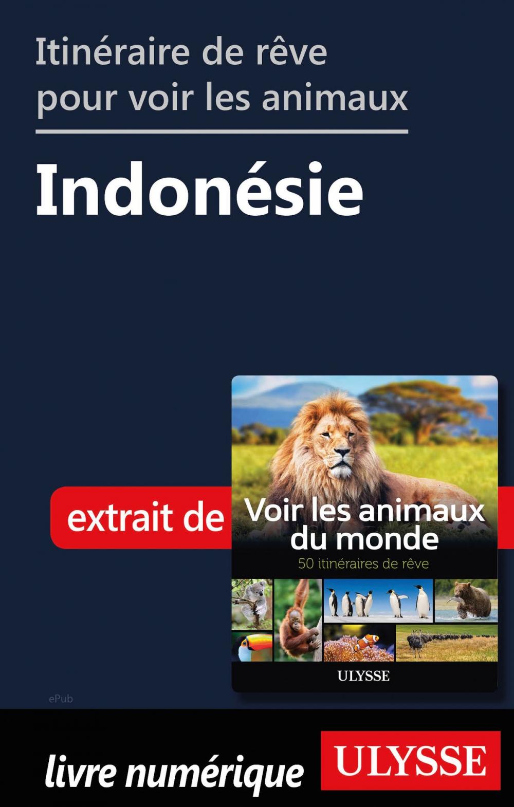 Big bigCover of Itinéraire de rêve pour voir les animaux - Indonésie