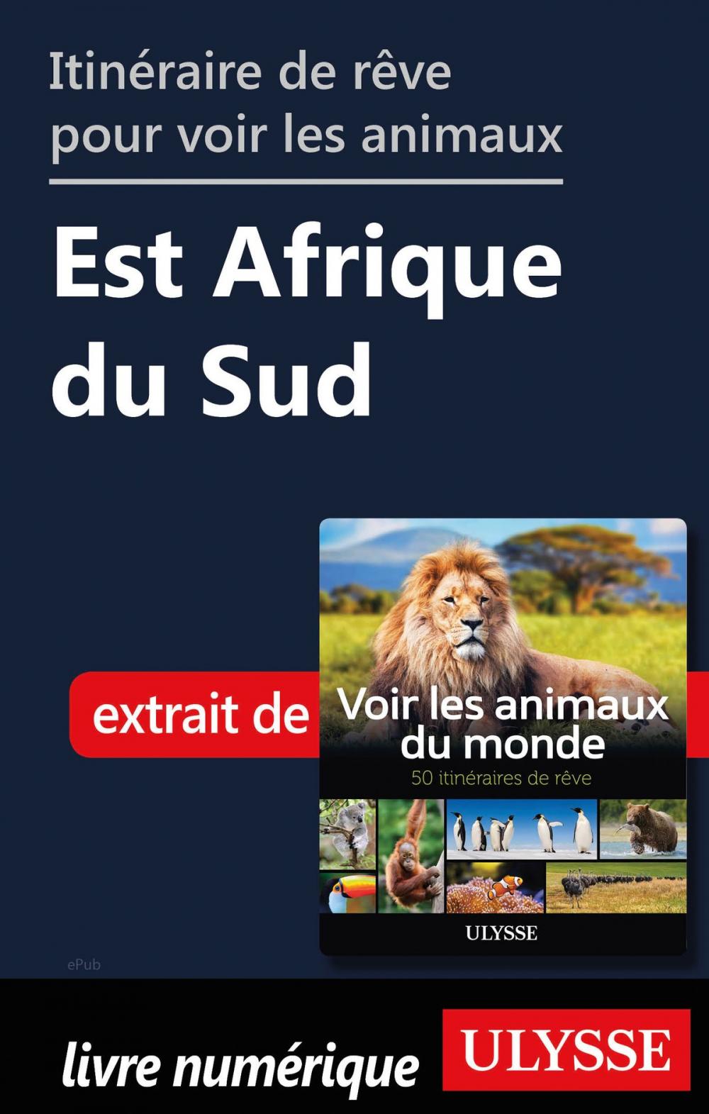 Big bigCover of Itinéraire de rêve pour voir les animaux Est Afrique du Sud