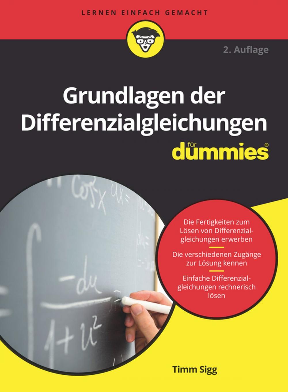 Big bigCover of Grundlagen der Differenzialgleichungen für Dummies