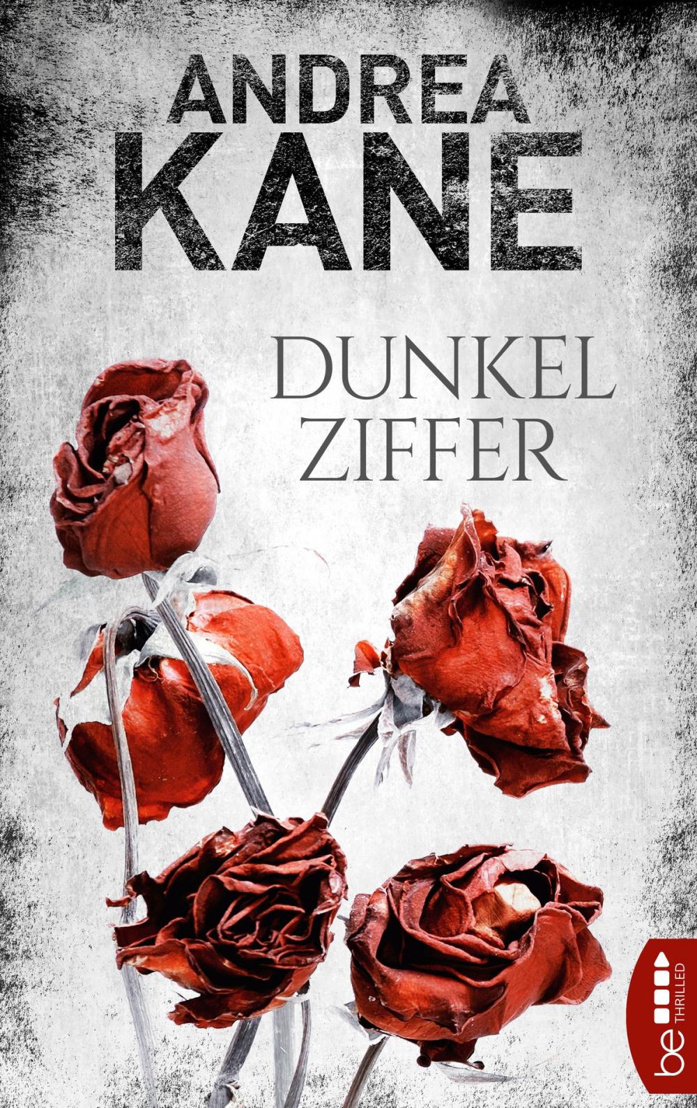 Big bigCover of Dunkelziffer