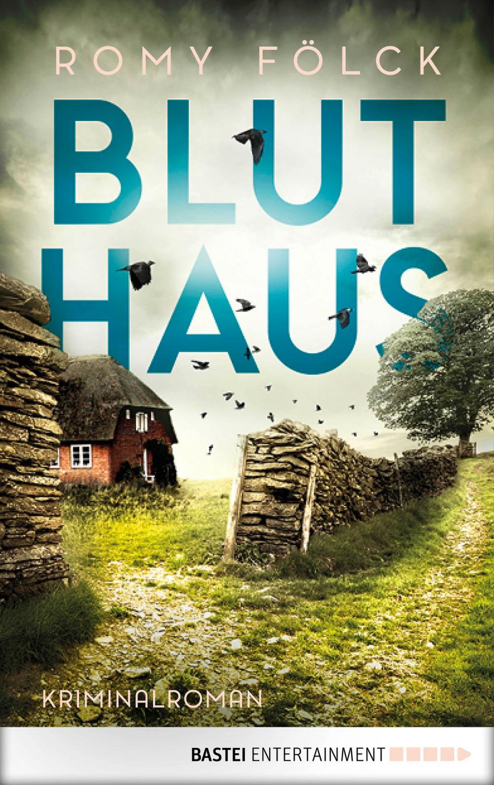 Big bigCover of Bluthaus