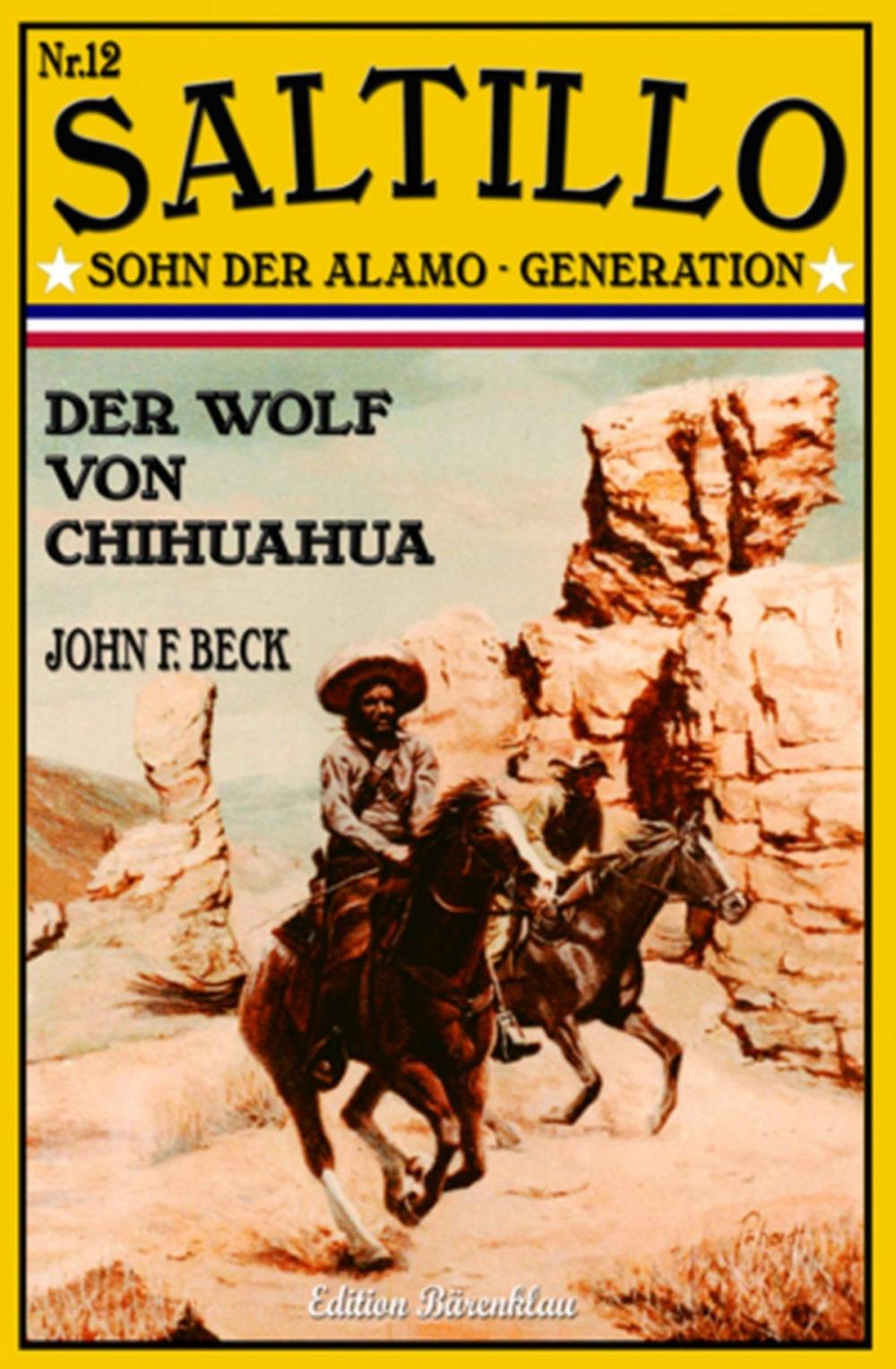 Big bigCover of SALTILLO #12: Der Wolf von Chihuahua