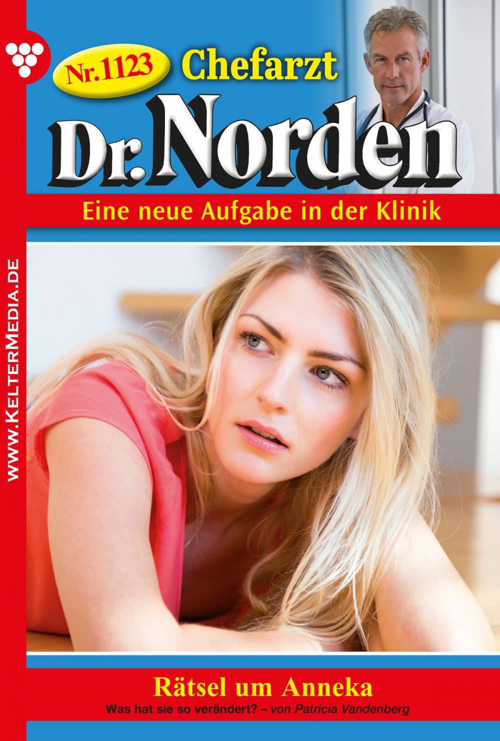 Big bigCover of Chefarzt Dr. Norden 1123 – Arztroman