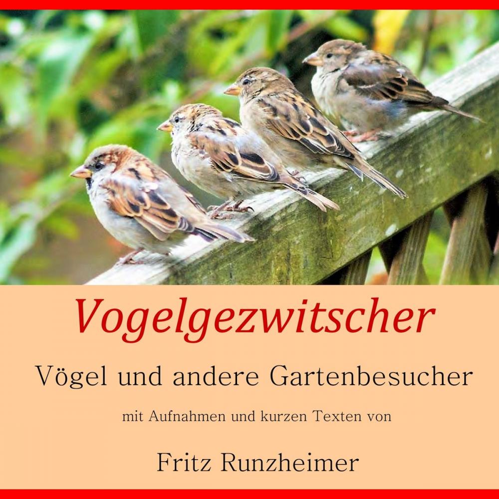 Big bigCover of Vogelgezwitscher