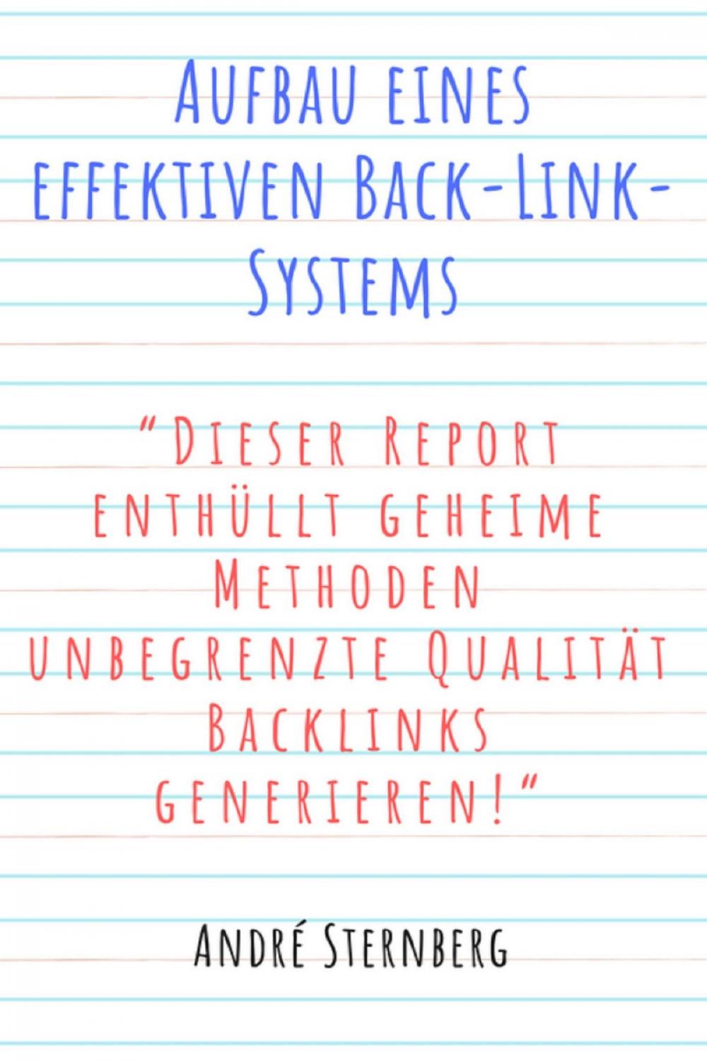 Big bigCover of Aufbau eines effektiven Back-Link-Systems