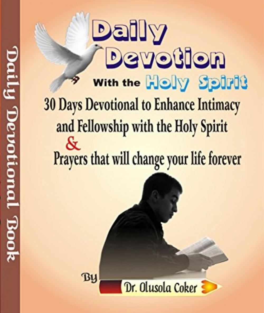 Big bigCover of Daily Devotion with the Holy Spirit: 30 Days Devotional