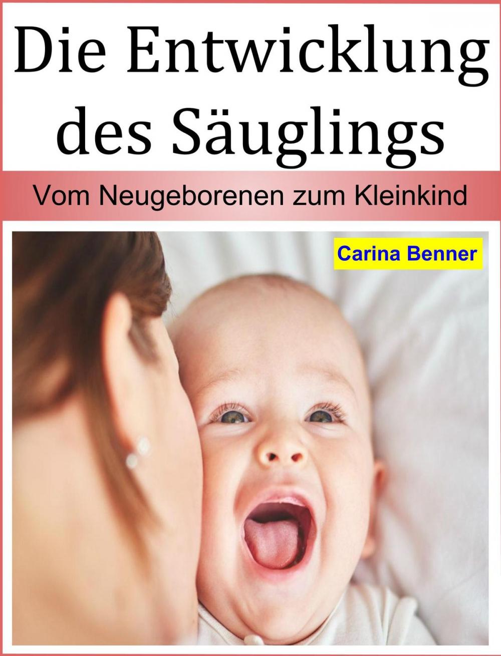 Big bigCover of Die Entwicklung des Säuglings