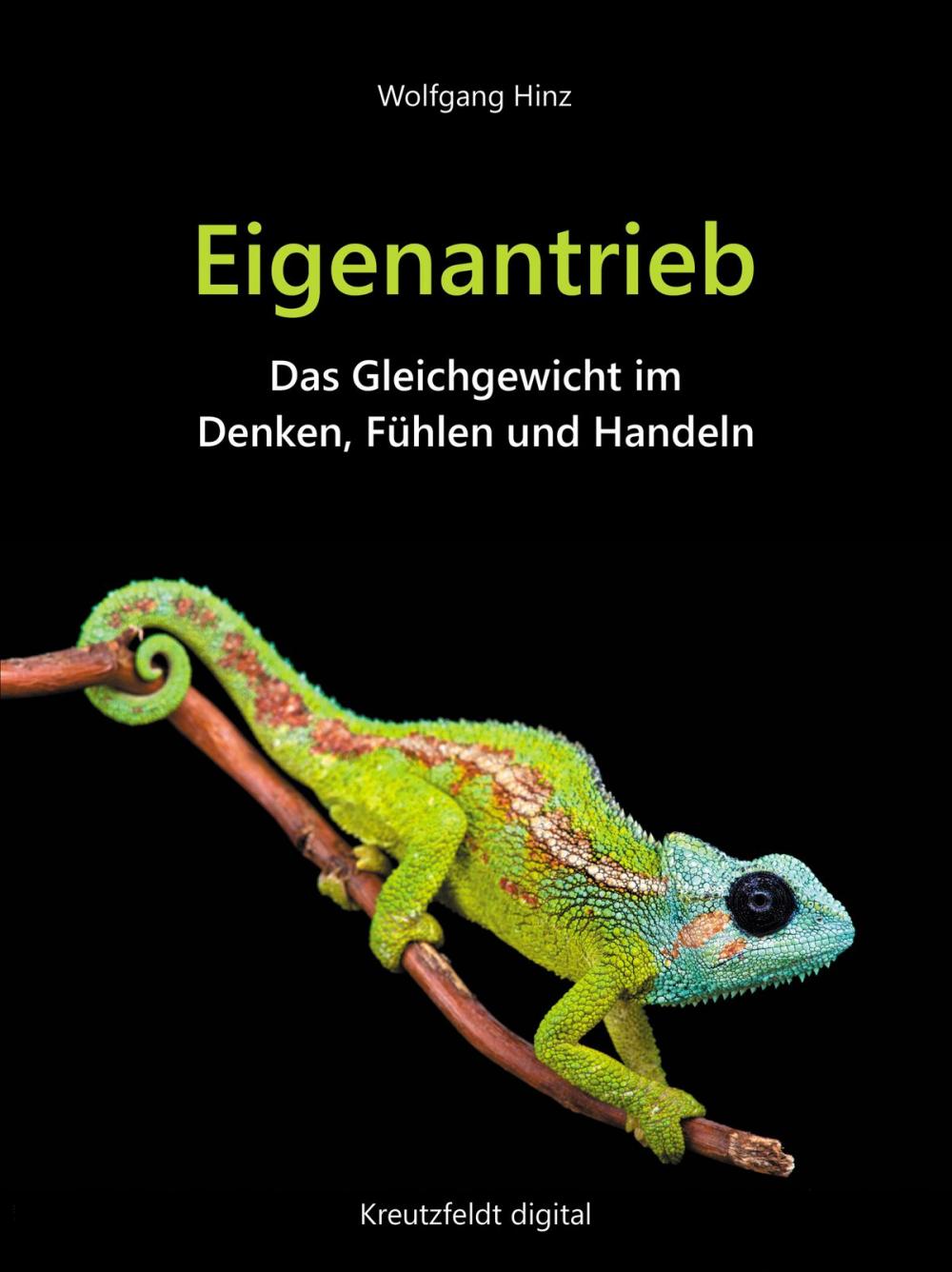 Big bigCover of Eigenantrieb