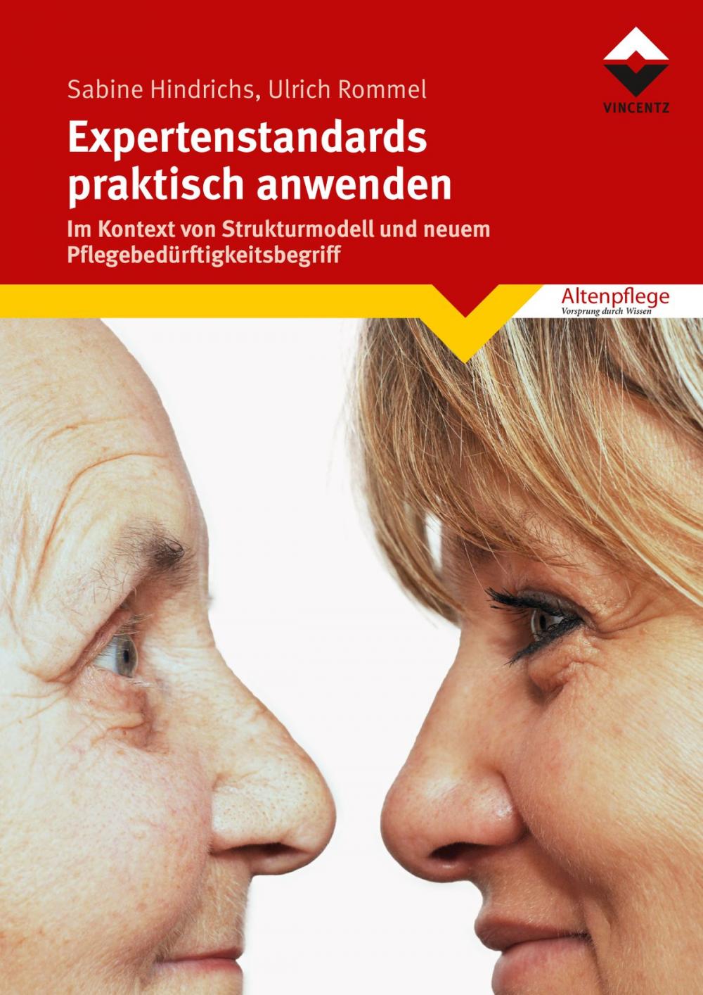 Big bigCover of Expertenstandards praktisch anwenden