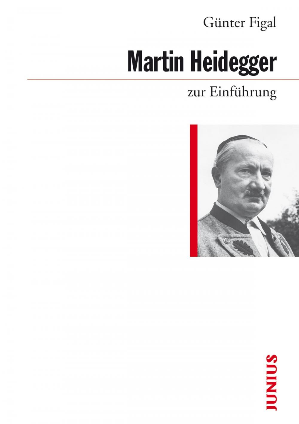 Big bigCover of Martin Heidegger zur Einführung