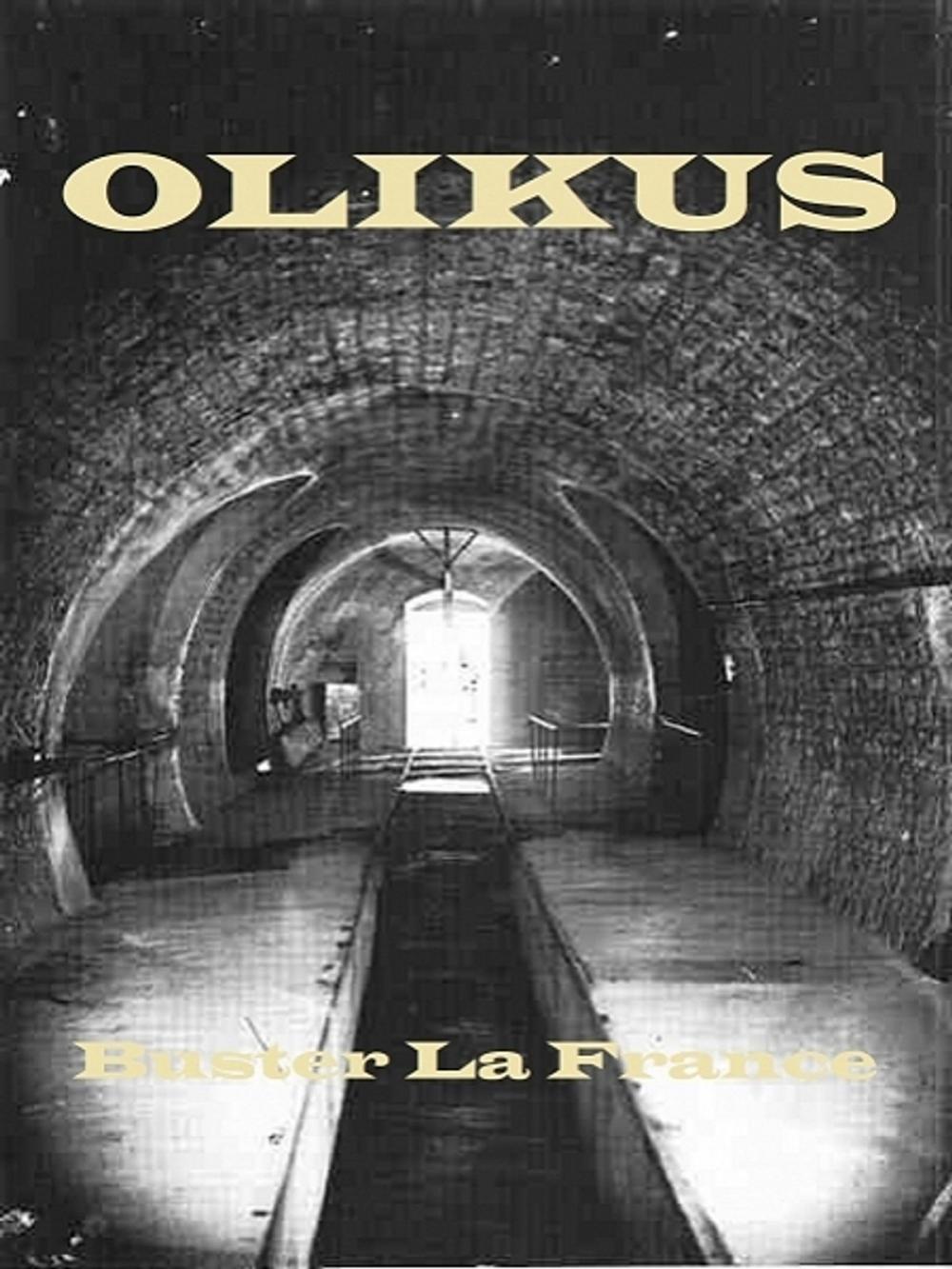 Big bigCover of Olikus