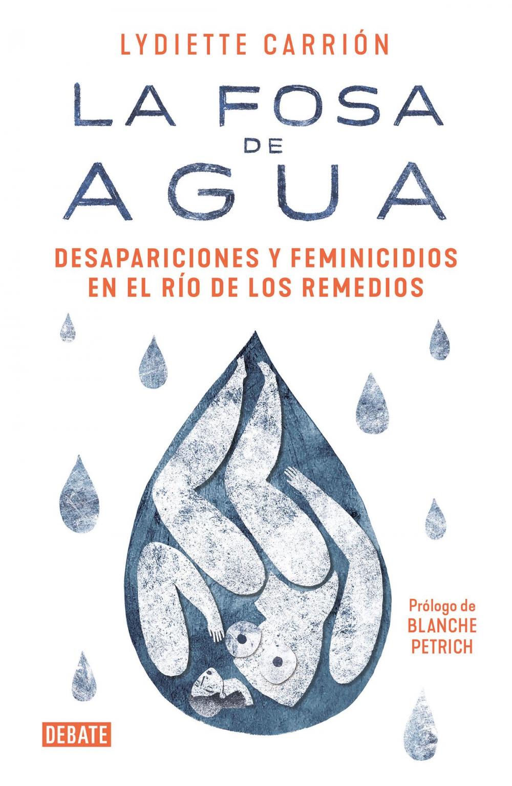 Big bigCover of La fosa de agua