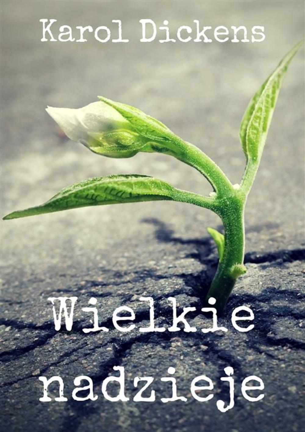 Big bigCover of Wielkie nadzieje