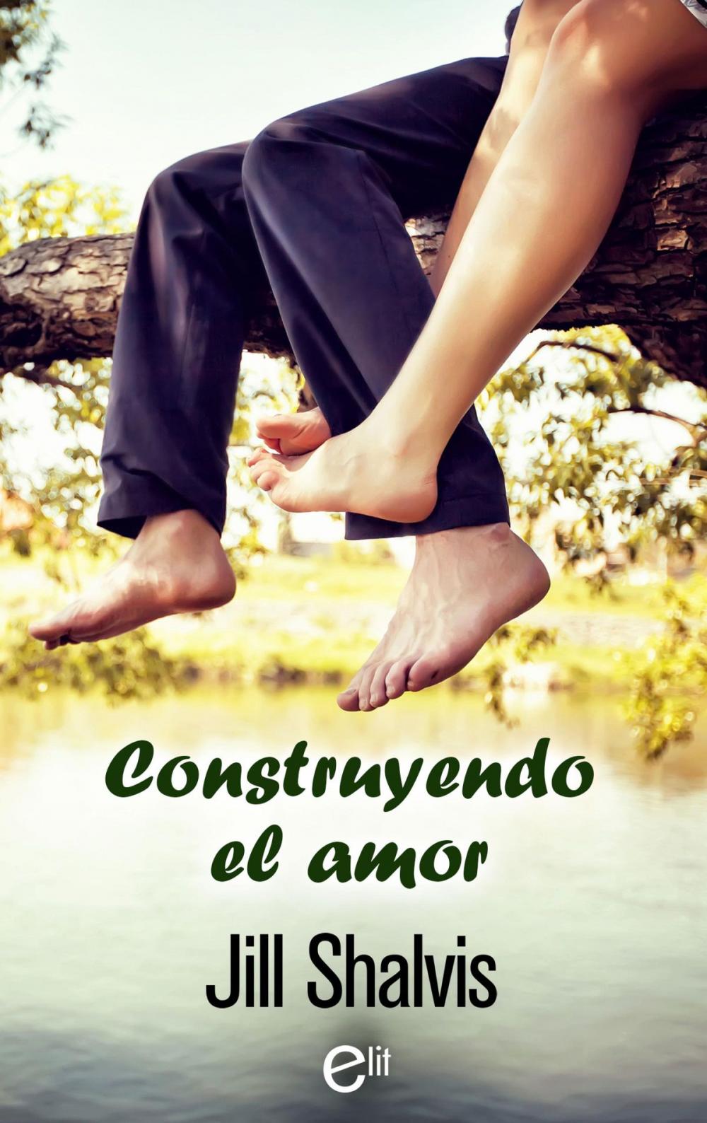 Big bigCover of Construyendo el amor