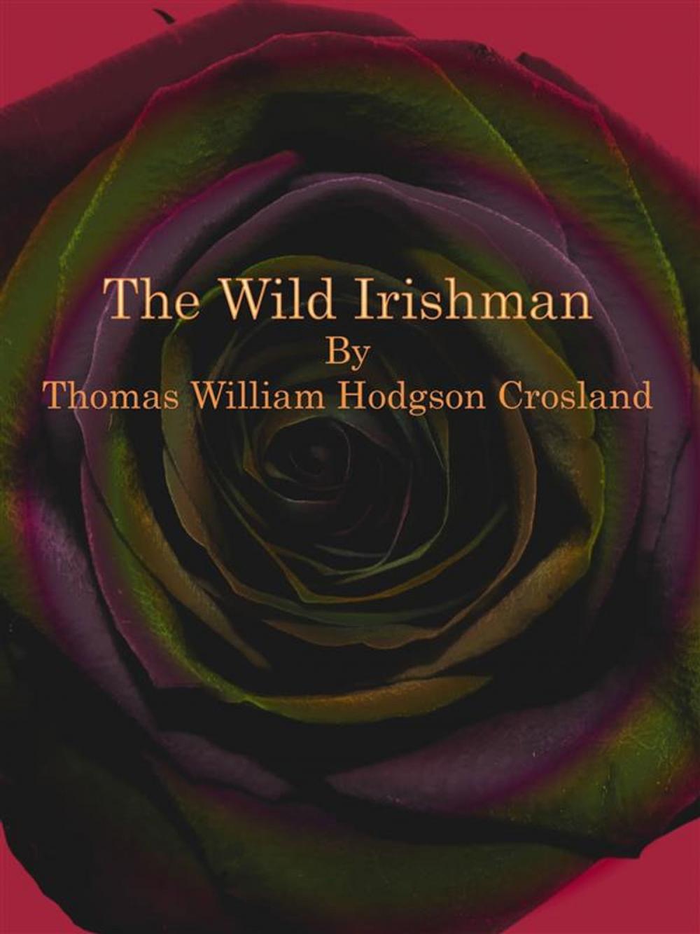 Big bigCover of The Wild Irishman