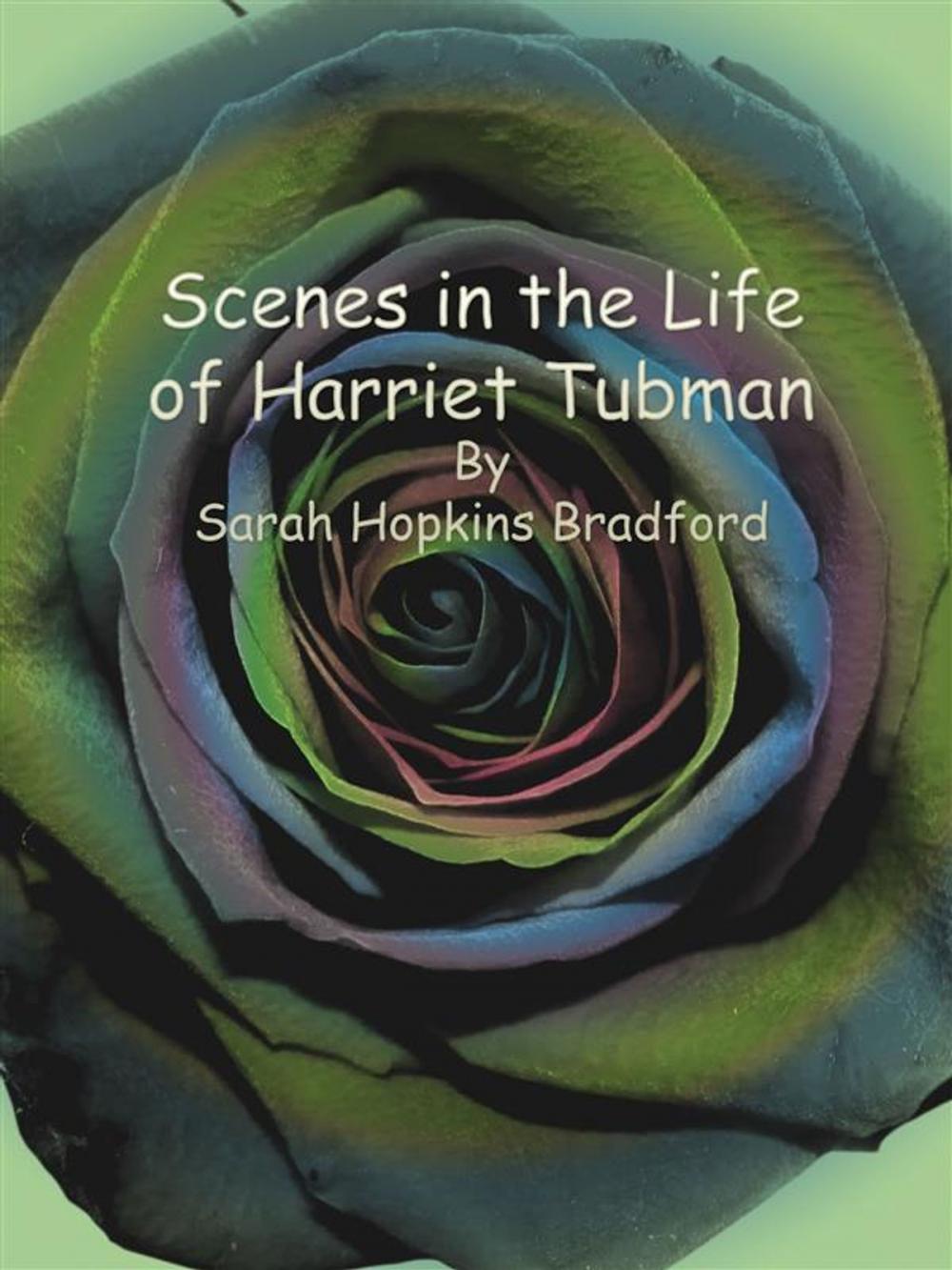 Big bigCover of Scenes in the Life of Harriet Tubman