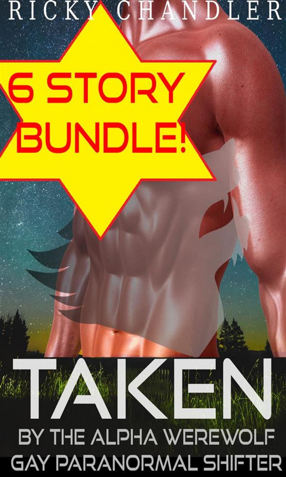 Big bigCover of Taken By The Alpha Werewolf Shifter Mega 6 Story Bundle (Gay Paranormal Shifter, #1)