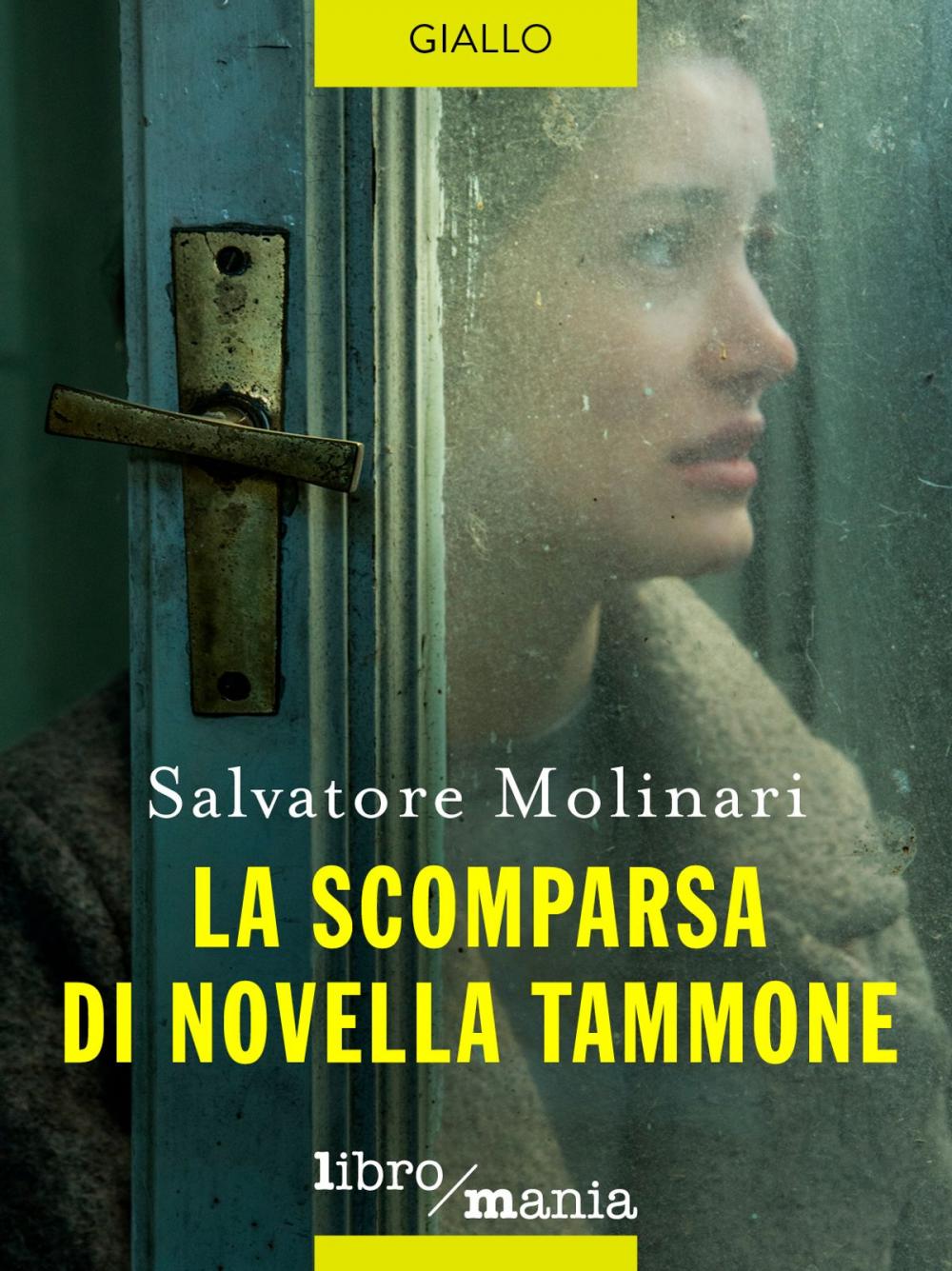 Big bigCover of La scomparsa di Novella Tammone