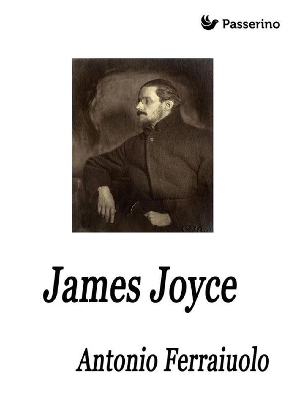 Big bigCover of James Joyce