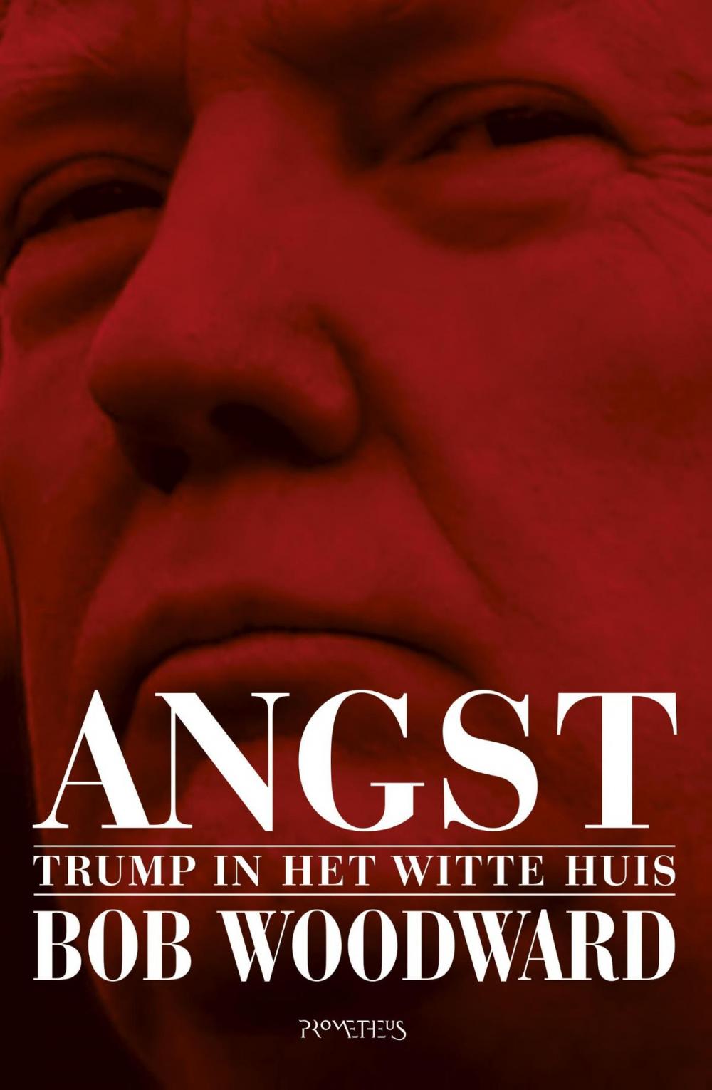 Big bigCover of Angst