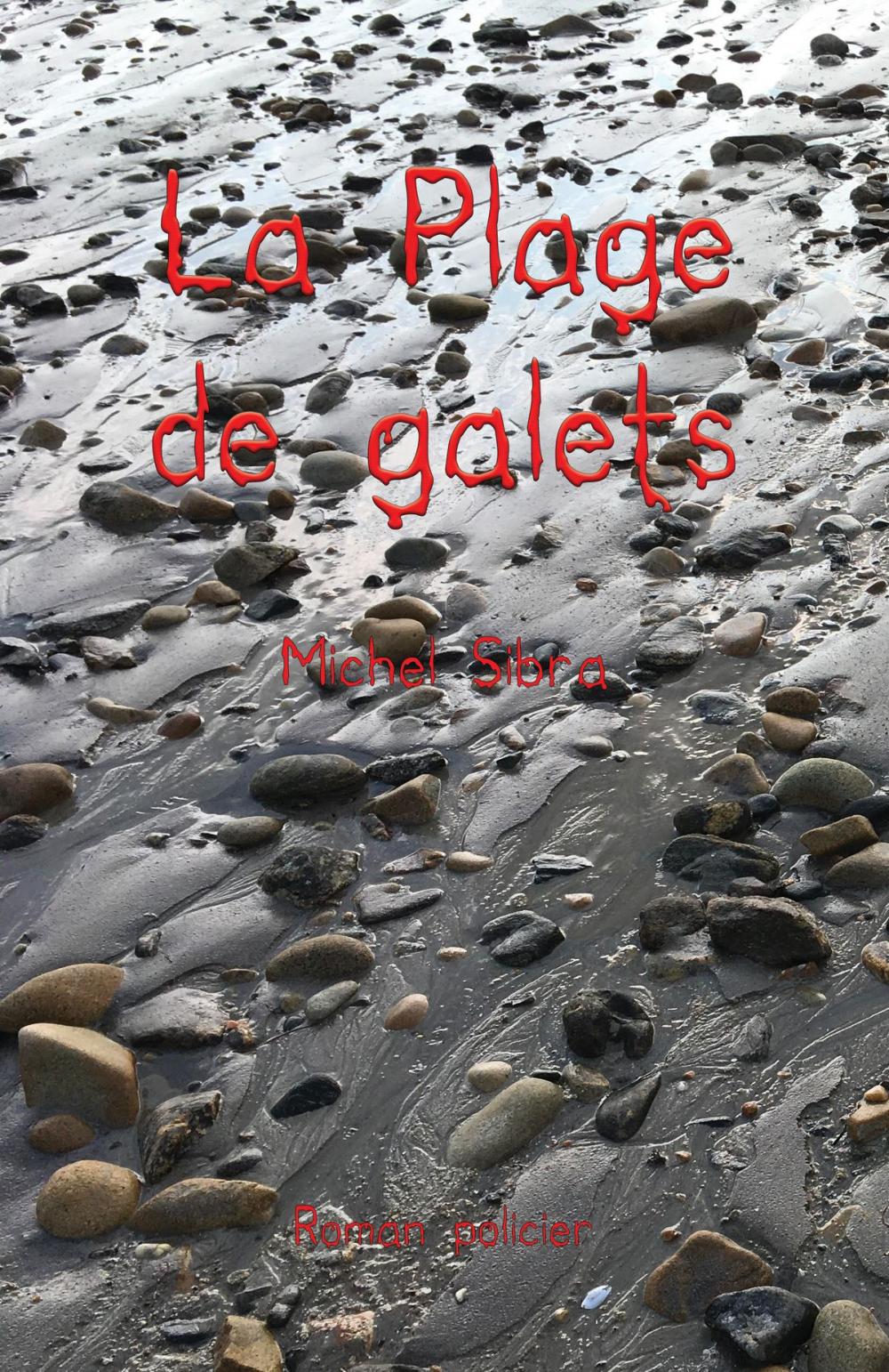 Big bigCover of La Plage des galets