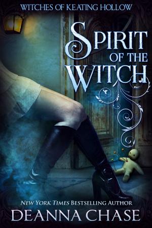Cover of the book Spirit of the Witch by BW Gragg