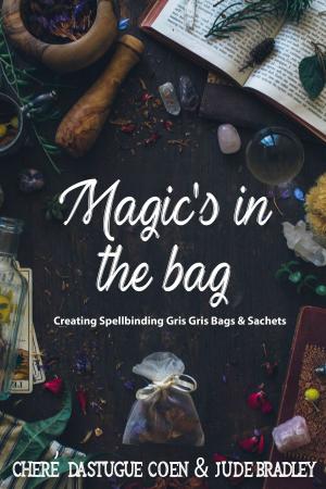 Cover of the book Magic's in the Bag by 伶姬
